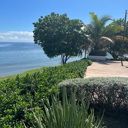 Bayfront Villa & Apartment 波特莫尔 外观 照片