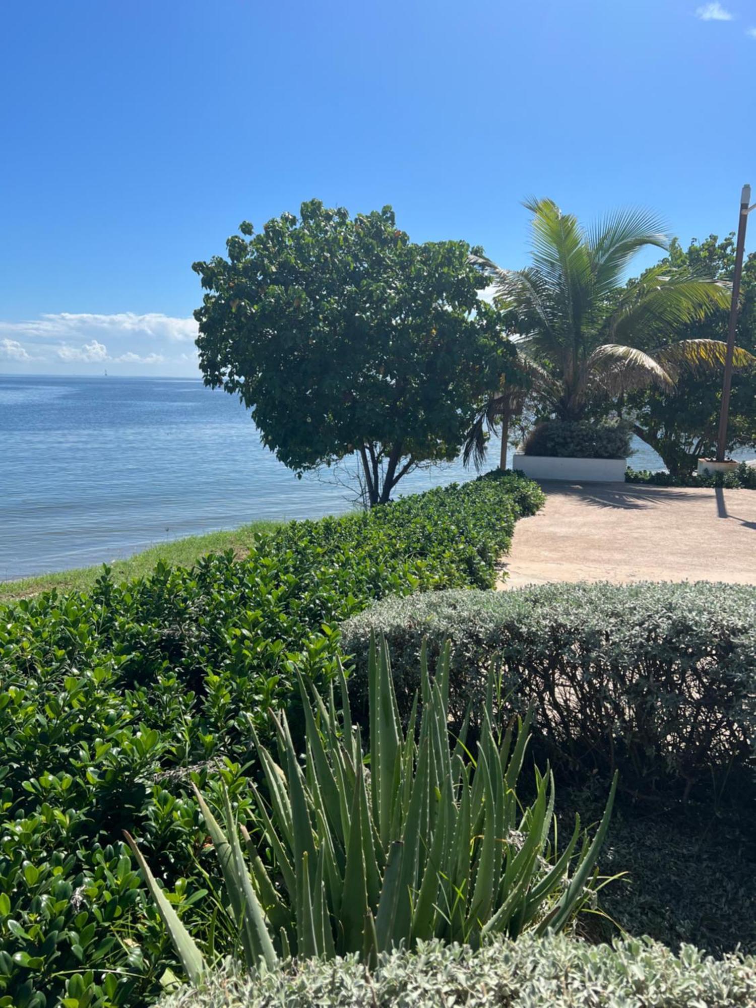 Bayfront Villa & Apartment 波特莫尔 外观 照片